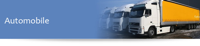 ERP