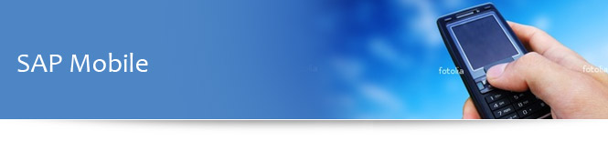ERP